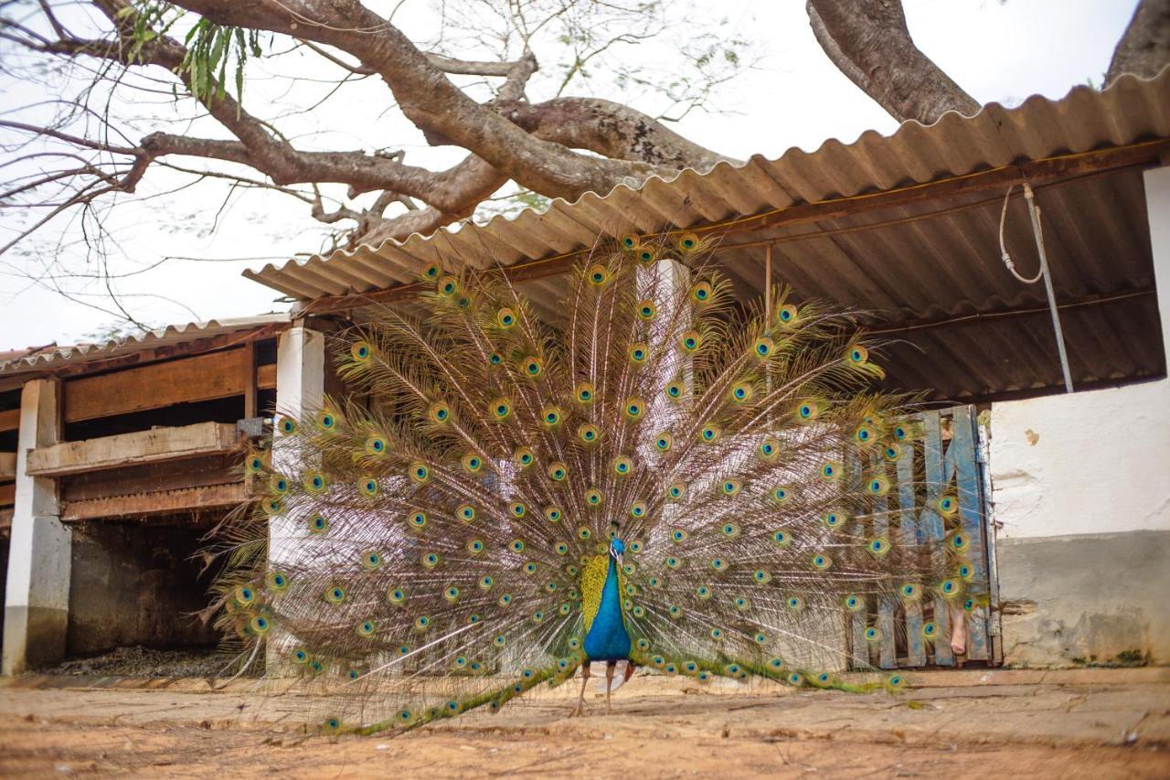 Fazenda Bela Riba Barrinha (Rio de Janeiro)