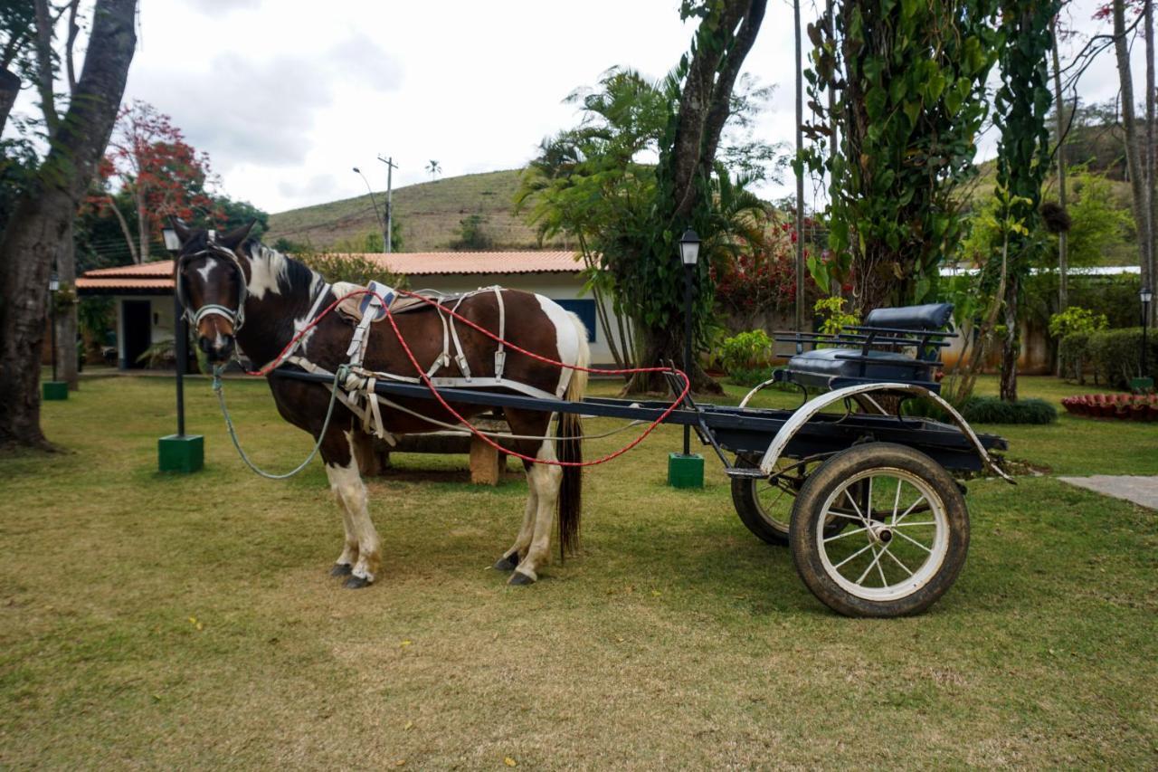 Hotel Eco Bela Riba 2*